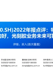 2022年报点评:特种橡胶助剂边际向好,光刻胶业务未来可期