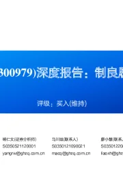 深度报告:制良履,至远方