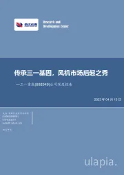 公司深度报告：传承三一基因，风机市场后起之秀