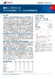 2022年净利润增长177%，主业毛利率修复明显