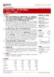 重新认知·中芯国际（三）：半导体产业链主，国产替代落脚点