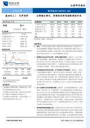 业绩稳定增长，持续推进新型储能领域布局