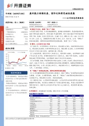 公司信息更新报告：盈利能力持续改善，国际化取得突破性进展