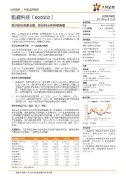 显示板块拖累业绩，新材料业务持续高增