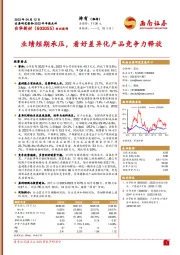 业绩短期承压,看好差异化产品竞争力释放