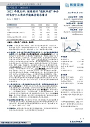 2022年报点评：继续看好“能耗双控”和分时电价下工商业节能服务需求潜力