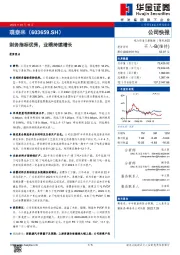财务指标优秀,业绩持续增长