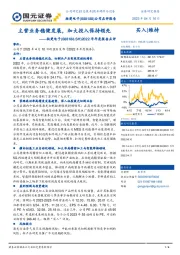 2022年年度报告点评：主营业务稳健发展，加大投入保持领先