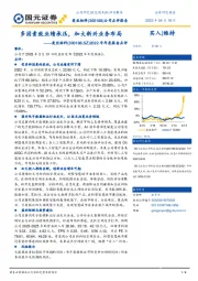 2022年年度报告点评：多因素致业绩承压，加大新兴业务布局