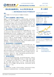 2022年年度报告点评：营收实现稳健增长，加大研发布局未来