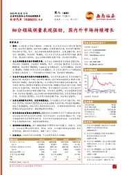 细分领域销量表现强劲，国内外市场持续增长