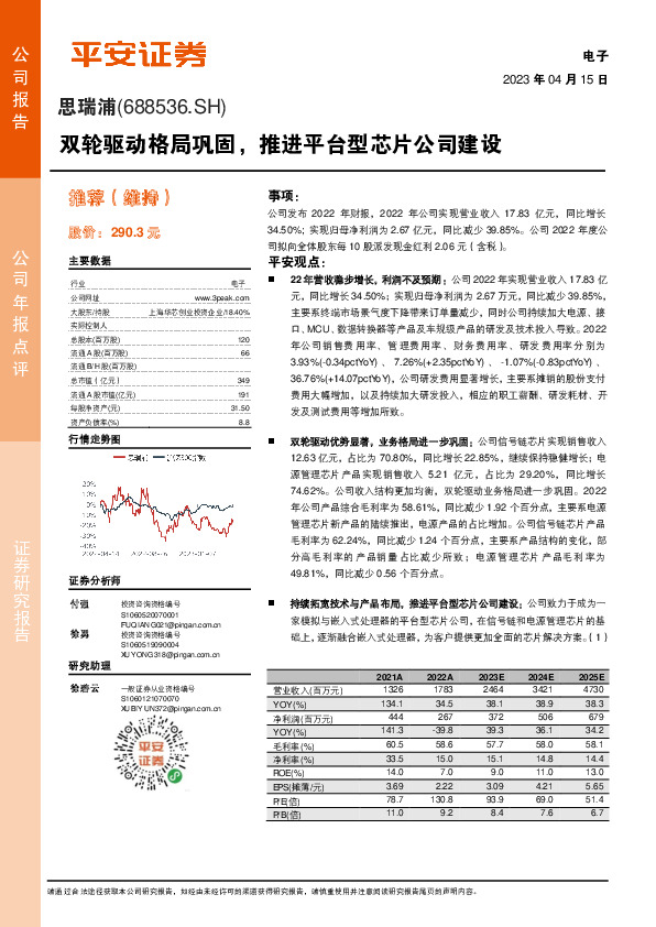 双轮驱动格局巩固，推进平台型芯片公司建设