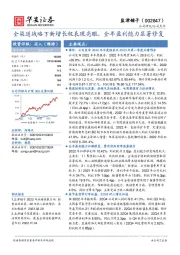 全渠道战略下新增长极表现亮眼，全年盈利能力显著修复