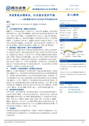 2022年年度报告点评：多因素致业绩承压，行业需求复苏可期