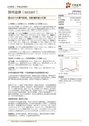 国内外户外景气延续，创新增效潜力可期