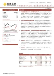 可转债募资芳纶材料，国产替代打造全新增长点