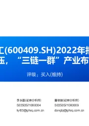 2022年报点评：2022年业绩承压，“三链一群”产业布局打开成长空间