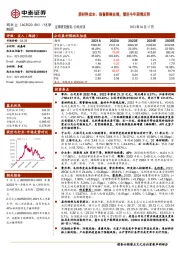 原材料成本、商誉影响业绩，看好今年困境反转