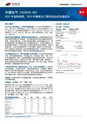 2022年加快转型，2023年储能及工程传动业务加速成长