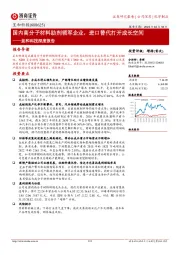 呈和科技深度报告:国内高分子材料助剂领军企业,进口替代打开成长空间