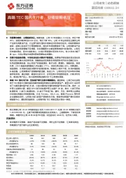 高端TEC国内先行者，业绩短期承压