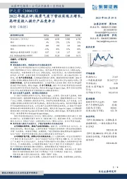 2022年报点评：低景气度下营收实现正增长，高研发投入提升产品竞争力