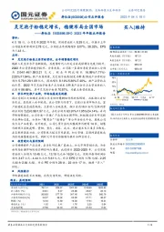 2022年年报点评报告：灵芝孢子粉稳定增长，稳健布局全国市场