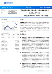 2022年年报点评报告:节能服务构建公司基本盘,工商业储能有潜力拓展成为新增长点