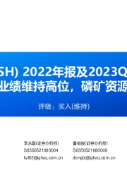 2022年报及2023Q1业绩预告点评：2023Q1业绩维持高位，磷矿资源国内领先