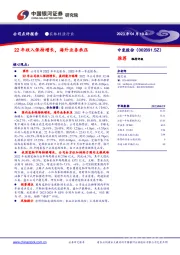 22年收入保持增长,海外业务承压