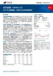 2022年业绩稳健，优势充电品类持续增长