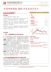 业绩增势稳健 2023研发智造齐发力