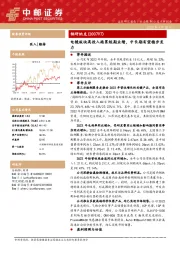 电镜板块高投入拖累短期业绩,中长期有望稳步发力