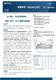 Q4同比、环比均实现增长，看好TGBT、Si2C等新产品放量