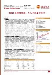 23Q1业绩超预期，羊毛羊绒量价齐升