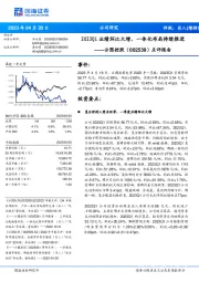 点评报告:2023Q1业绩环比大增,一体化布局持续推进