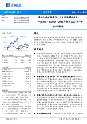 2022年报及2023年一季报点评报告:海外业务短期承压,自主品牌稳健成长
