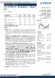 2022年年报点评：盈利短期承压，业绩拐点将至