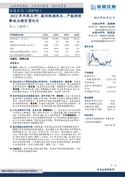 2022年年报点评：盈利短期承压，产能持续释放业绩有望回升