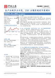 各产品线多点开花，23Q1业绩实现逆市高增长