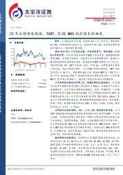 22年业绩增速靓丽，TGBT、Si2C MOS构筑增长新曲线