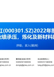 2022年报点评：价差收窄致业绩承压，炼化及新材料助力未来高增