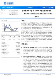 2022年报&2023一季报点评报告:贵州能源综合基地,煤&电规模有望持续增长