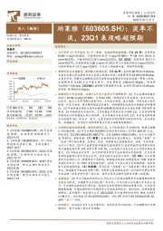 淡季不淡，23Q1表现略超预期