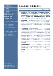 龙头地位稳固,降本增效进行时