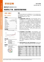 利润同比下滑，募投项目稳步推进