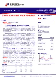 空气管理龙头地位稳固，新能源业务发展迅速