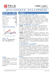 海外出口承压拖累业绩,国内自主品牌维持高增