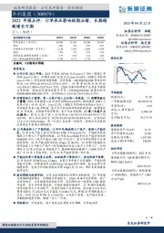 2022年报点评:订单承压影响短期业绩,长期稳健增长可期