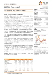 龙头地位稳固，海外布局助力二次增长